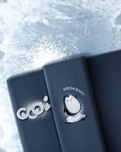 French Terry Panel Pinguins by Thorsten Berger Cool & Dance - VORORDER!