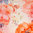 Baumwoll-Jersey Lena Watercolor Blumen rot 400425